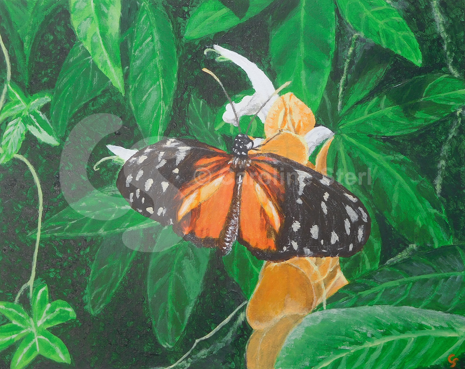 Painting: Rosita Checkerspot